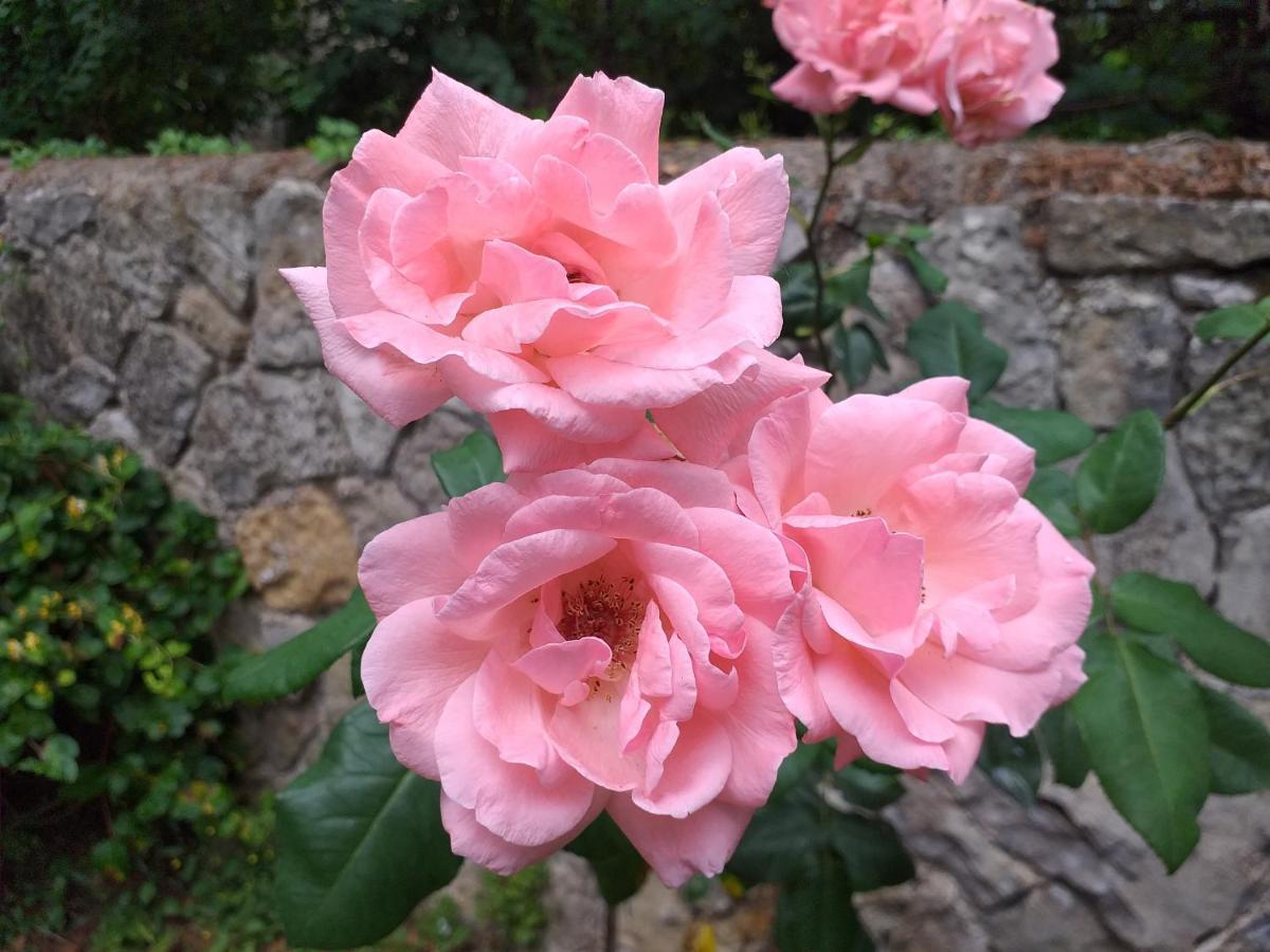 Le Jardin Secret *